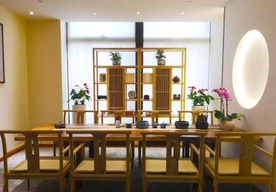 綠植租賃都有哪些？該怎么選？