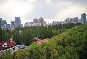 上海新華路花園洋房出租，246㎡獨棟