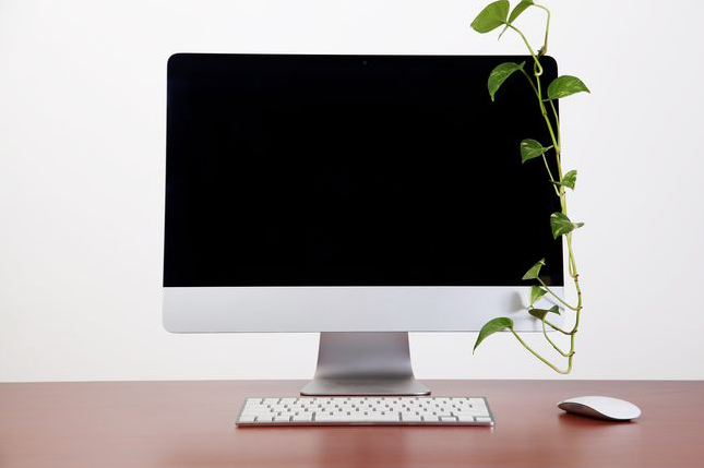 電腦租賃時選擇什么樣的系統會較合適？