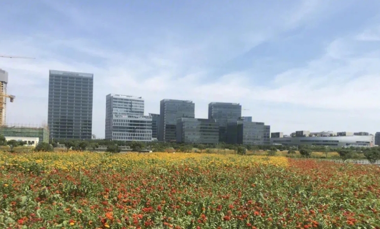 莘莊商務區：全力打造高品質綜合商務中心