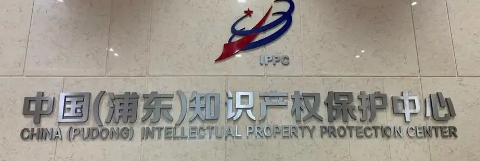 浦東新區人民政府關于印發《浦東新區促進知識產權運用若干規定》的通知